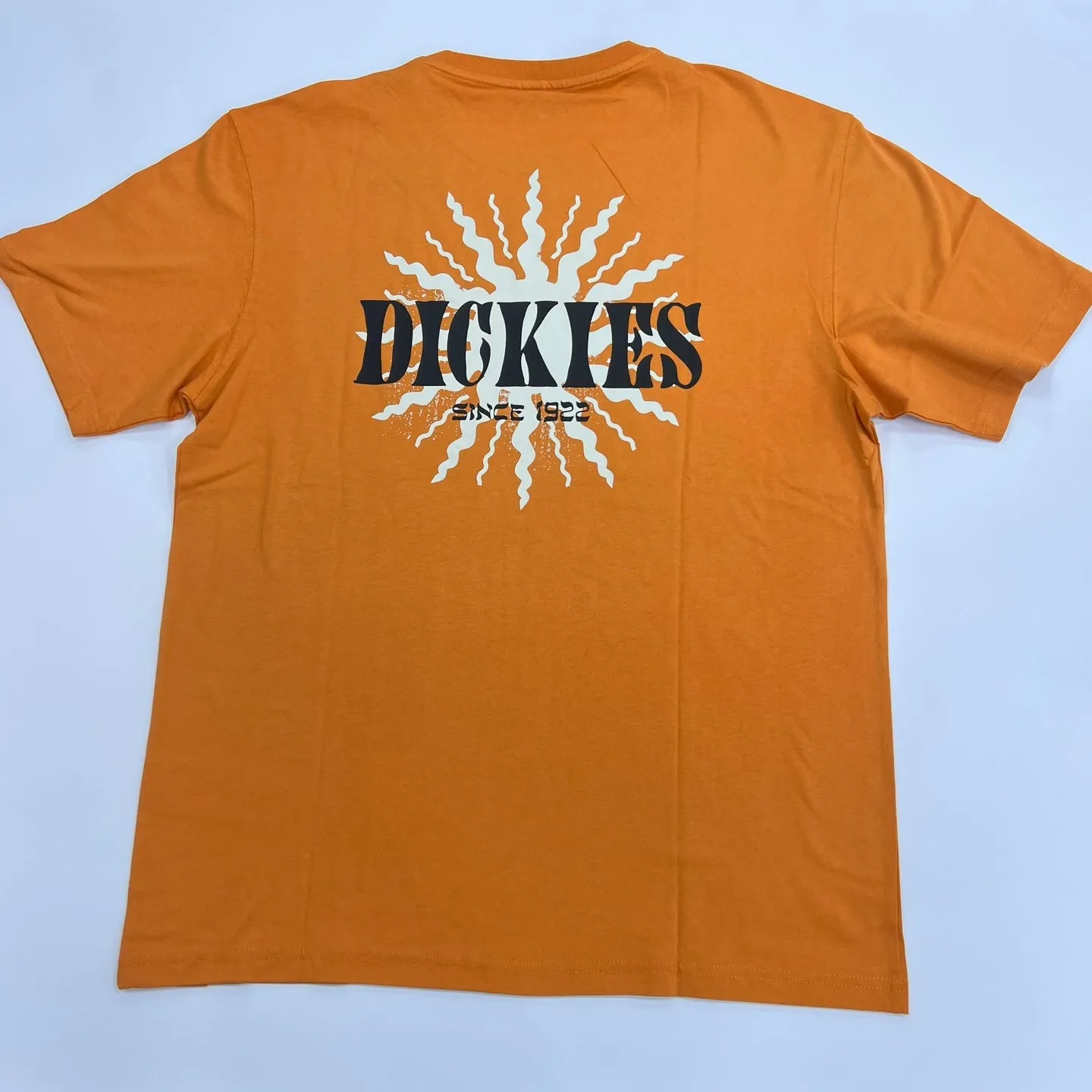 Dickies Kelso Graphic T-Shirt